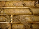 Drill core