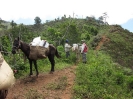 Jengibre transport around project