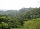 View of Guazumitas zone