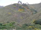Los Comios Zona 1