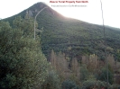 Toral View 3