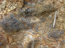 Mineralization at Jengibre