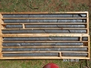 Romero - LTP 90 - May 2012 Drill Core 
