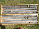 Romero - LTP 90 - May 2012 Drill Core 