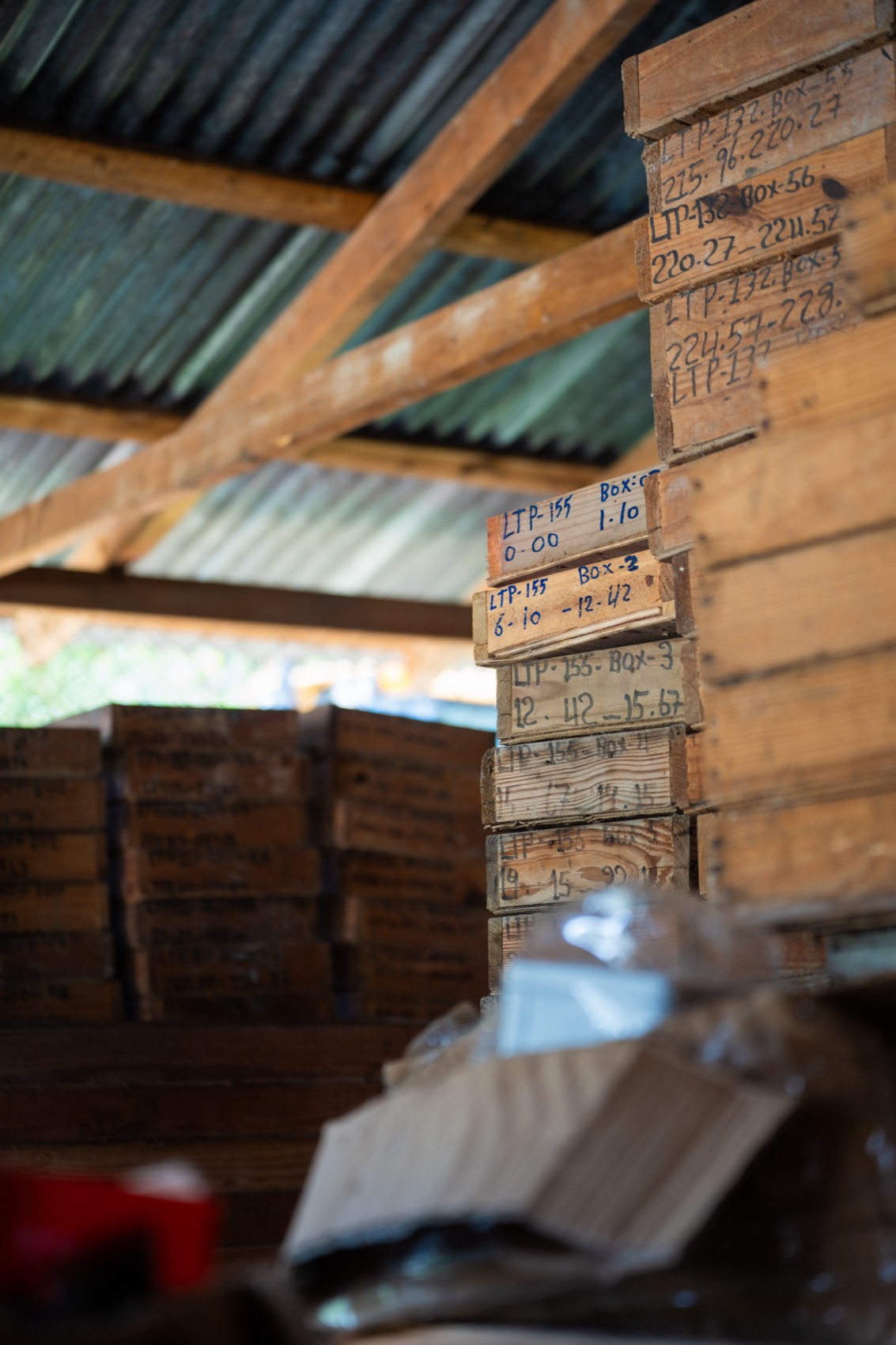 Labeled drill core at the field camp