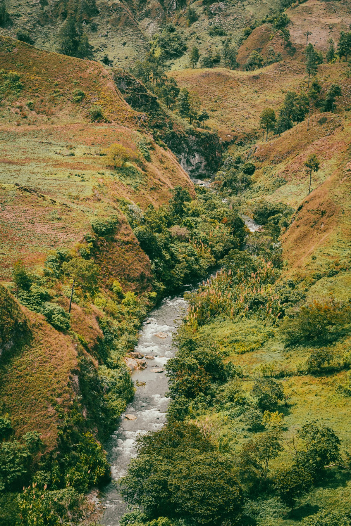 The San Juan River winding through the highlands