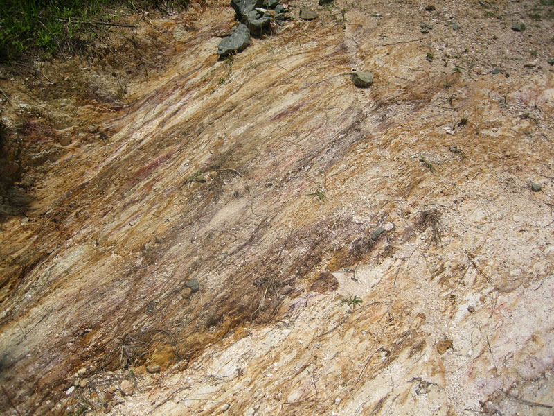 Mineralized footwall rhyolites