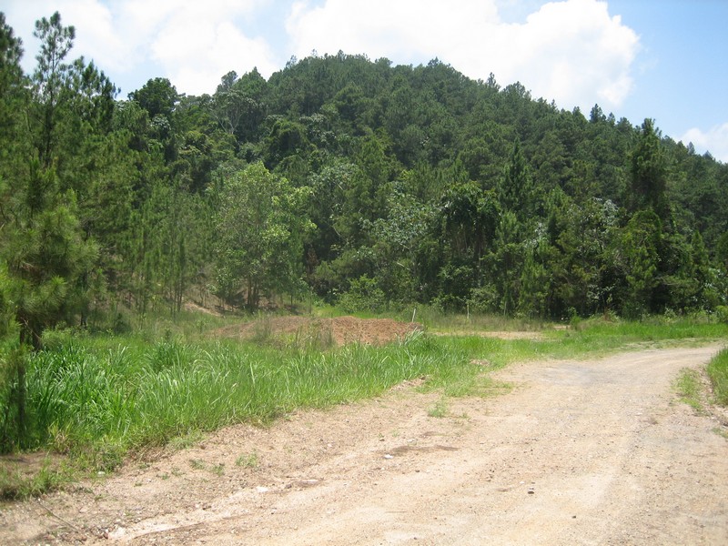 View of main Las Animas zone